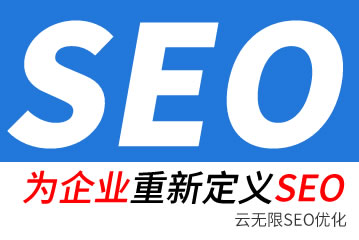 天津专业的seo公司